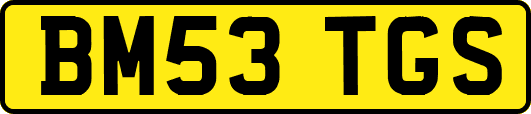 BM53TGS