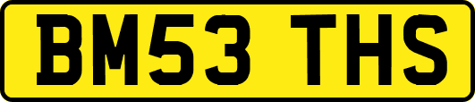 BM53THS