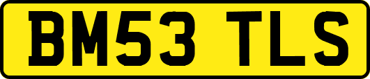 BM53TLS