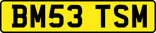BM53TSM