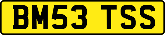 BM53TSS