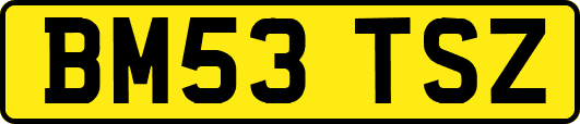BM53TSZ