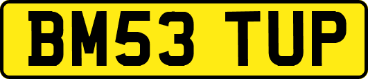 BM53TUP