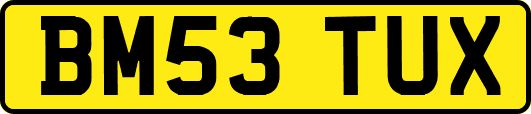BM53TUX
