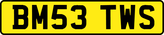 BM53TWS