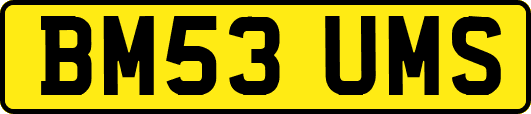 BM53UMS