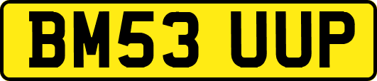 BM53UUP