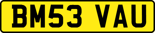 BM53VAU