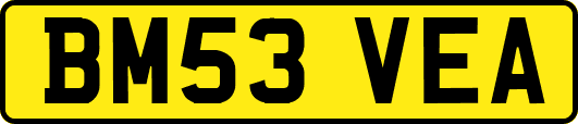 BM53VEA