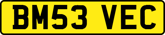 BM53VEC