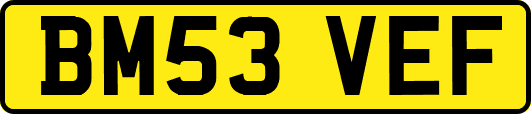 BM53VEF