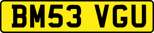 BM53VGU