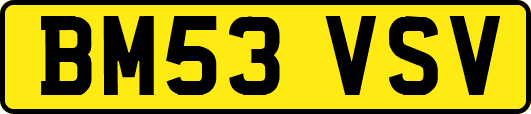 BM53VSV