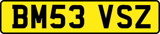 BM53VSZ