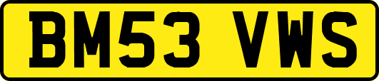 BM53VWS