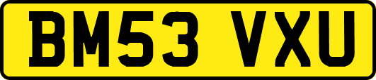 BM53VXU