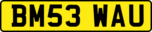 BM53WAU