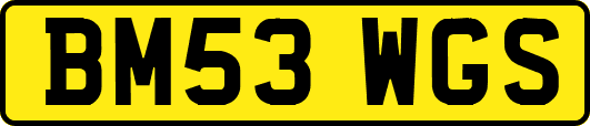 BM53WGS