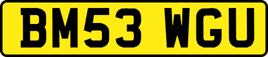 BM53WGU