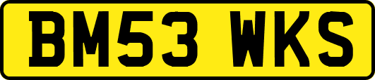 BM53WKS