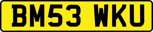 BM53WKU