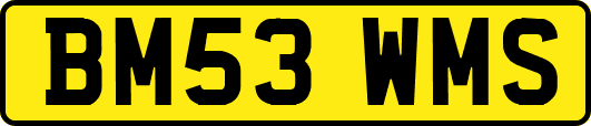 BM53WMS