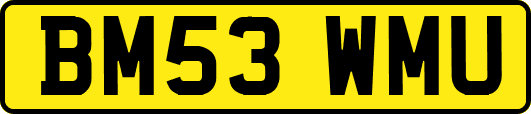 BM53WMU