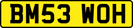 BM53WOH