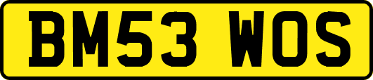 BM53WOS