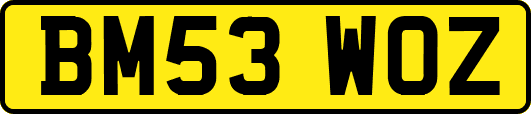 BM53WOZ