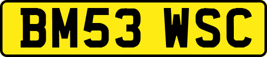BM53WSC