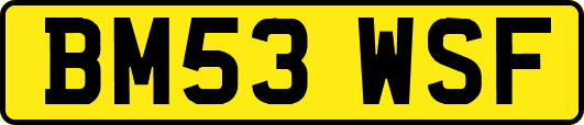 BM53WSF