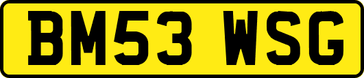 BM53WSG
