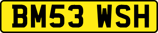 BM53WSH