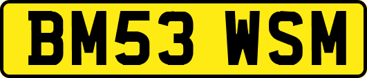 BM53WSM