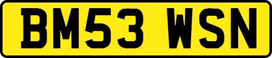 BM53WSN