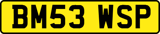 BM53WSP