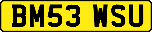 BM53WSU