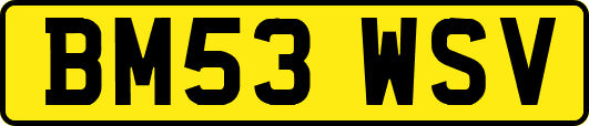 BM53WSV