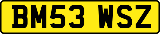 BM53WSZ