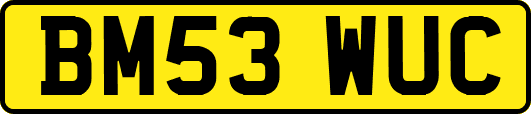 BM53WUC