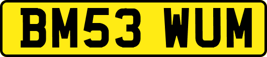 BM53WUM