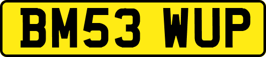 BM53WUP