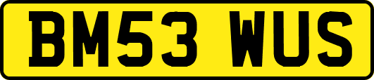 BM53WUS