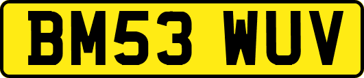BM53WUV