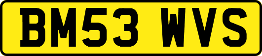 BM53WVS