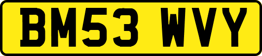BM53WVY