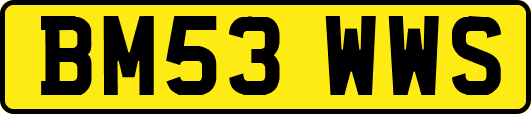 BM53WWS