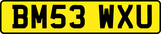 BM53WXU