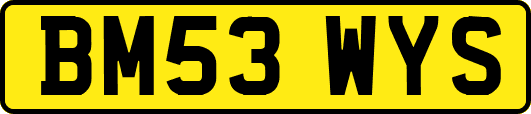 BM53WYS